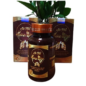 An Phế Hoàn Ngọc Hỗ Trợ Bổ Phế, Giảm Ho