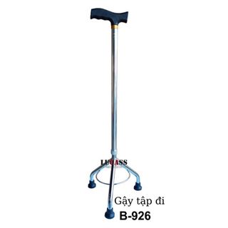 Nạng cho người tàn tật VC26