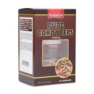 PURE CORDYCEPS (Chai/60v)