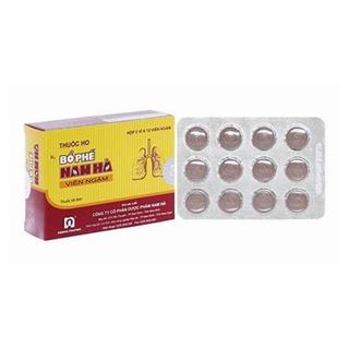Thuốc ho viên ngậm Bổ phế Nam Hà
