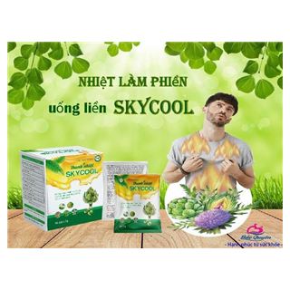 THANH NHIỆT SKYCOOL ( Hộp / 10 gói 7g)
